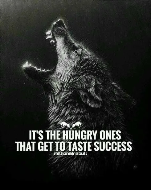 Sass Hungry