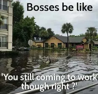 Meme Stillworking