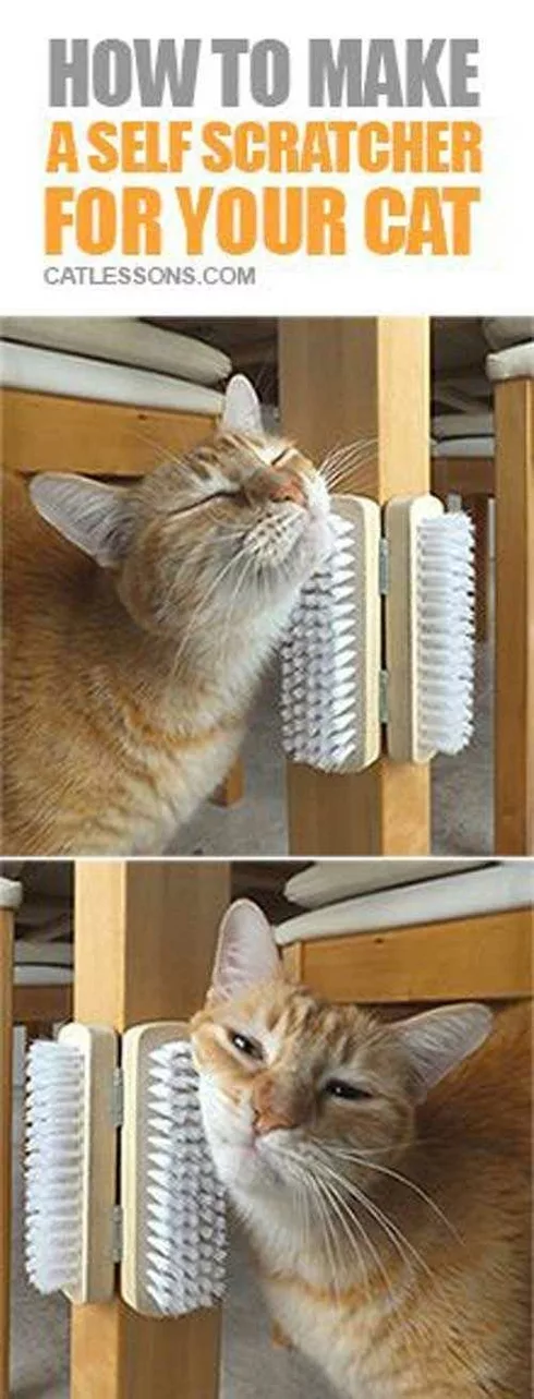 Diy Catscratcher