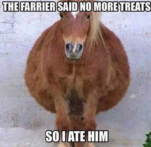 Funny Atehim