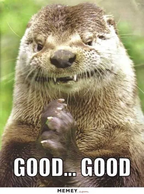 Funny Otter Good