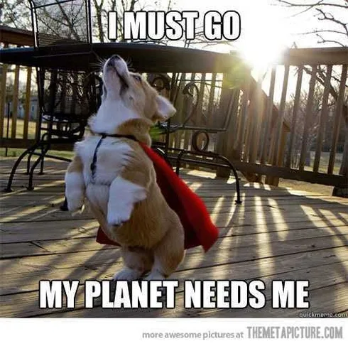 Funny Super Corgi