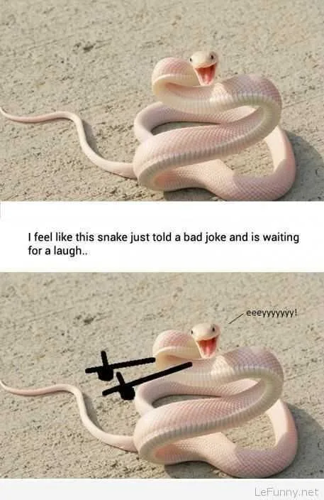Funny Told Joke