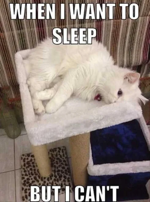 Funny Want To Sleep