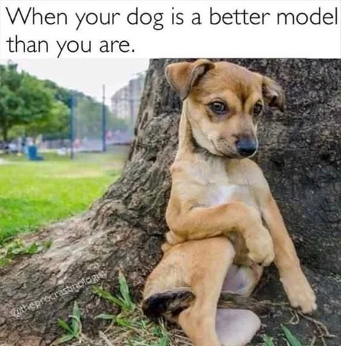 Funy Better Model