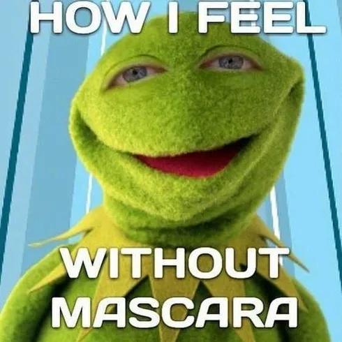 Meme Mascarakermit