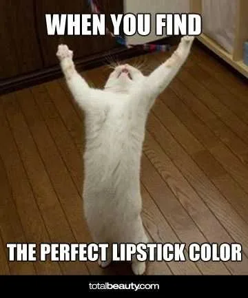 Meme Perfectlipcolor
