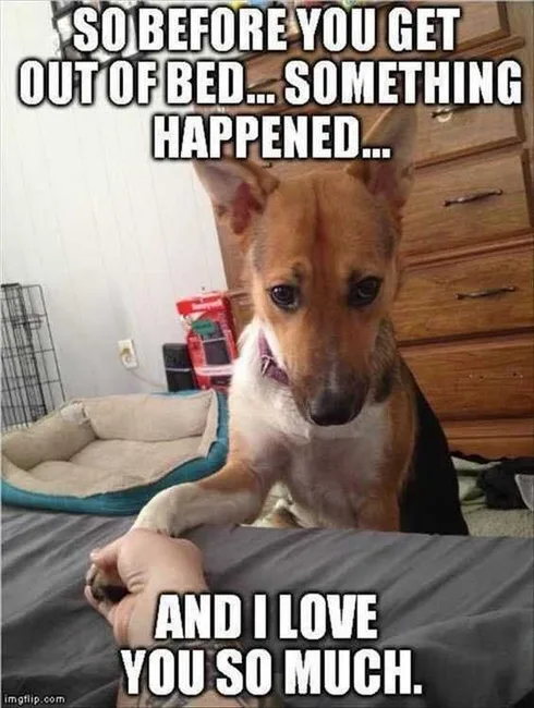 Meme Somethinghappened