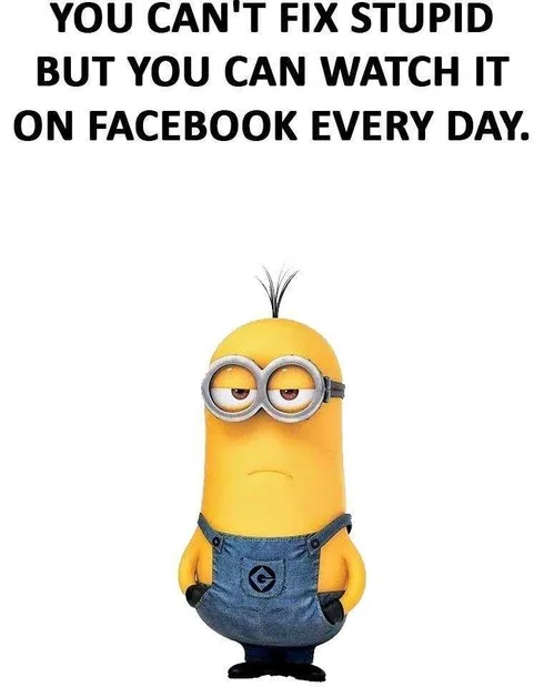 Minion Facebookstupid