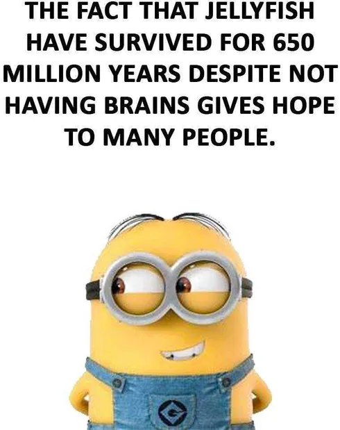 Minion Jellyfish