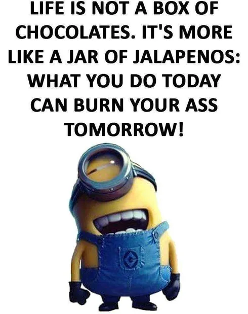 Minion Lifeisntchocolates