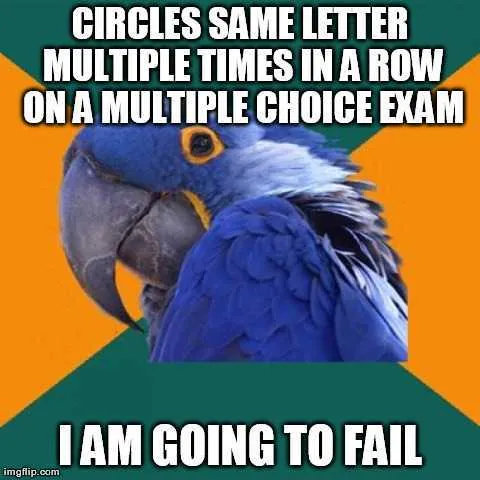 Finals Bird