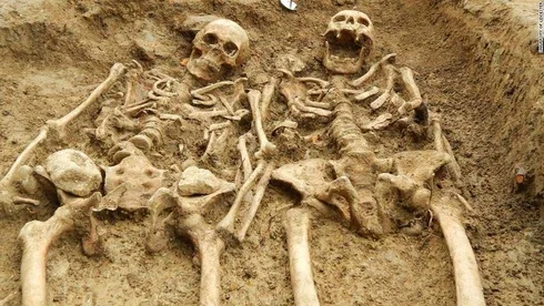 140918131138 Leicester Skeletons 1 Horizontal Large Gallery