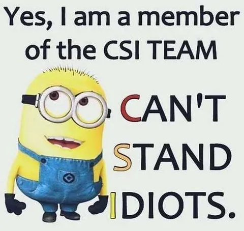 Minions Memes Clean Enough For Kids Csi Team