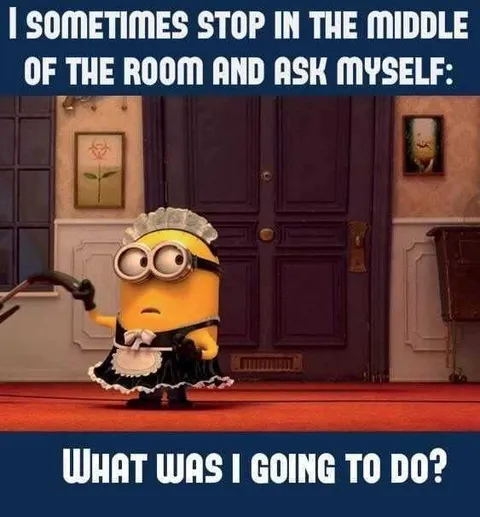Funny Snarky Minion Quotes About Forgetfulness