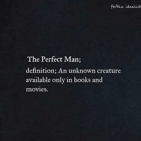 Snappy Funny Memes Perfect Man