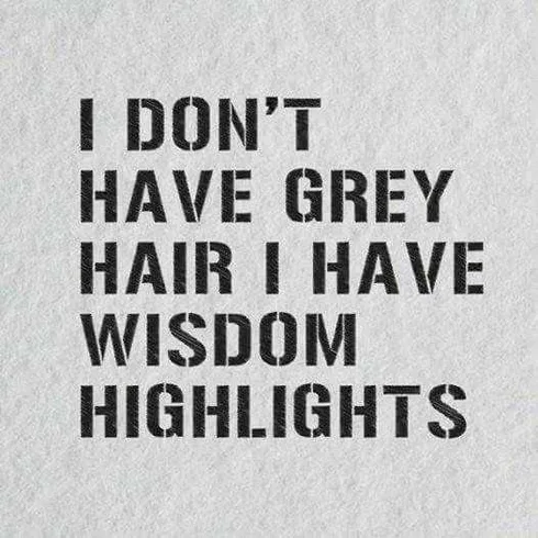 Snappy Funny Memes Wisdom Highlights