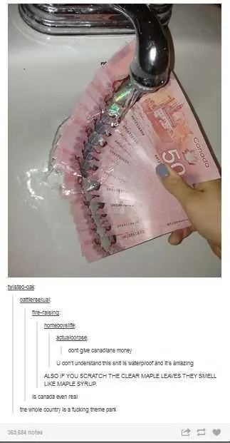 Funny Dank Memes Money Laundering