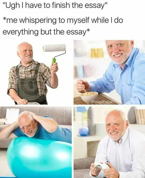 Funny Dank Memes Essay Due