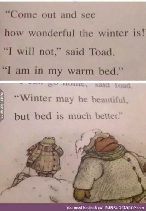 Funny Toad Frog