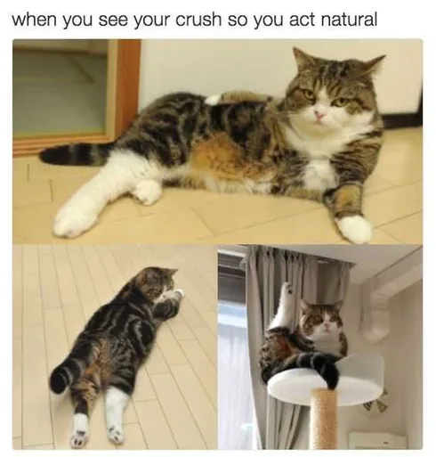 Funny Dank Memes Acting Natural