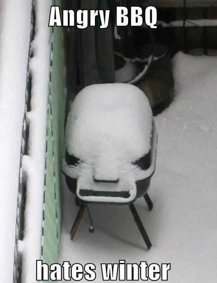 Funny Winter Bbq