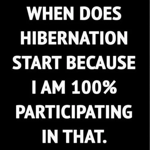 Funny Winter Hibernation