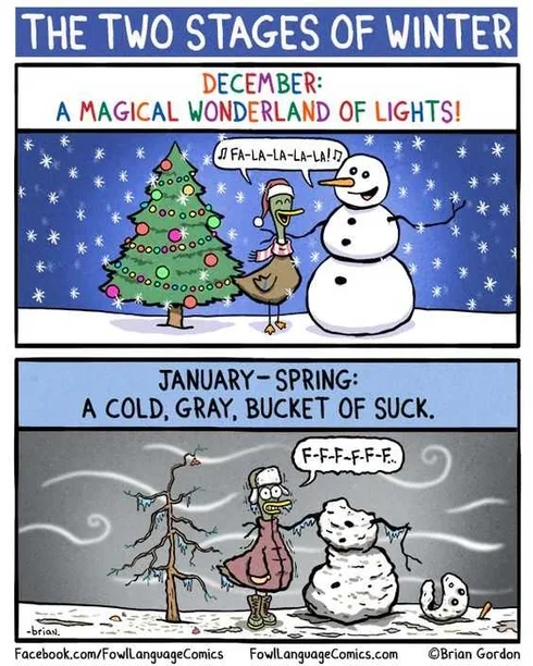 Funny Winter January