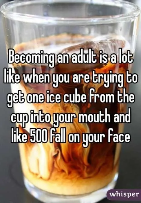 Being An Adult Memes Ice Cube Metaphor