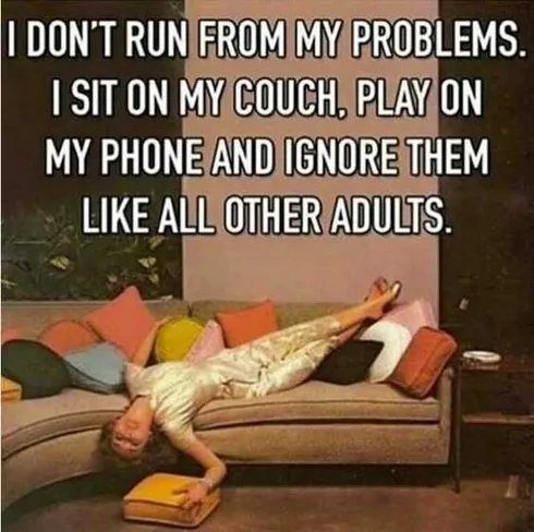 Being An Adult Memes Problems