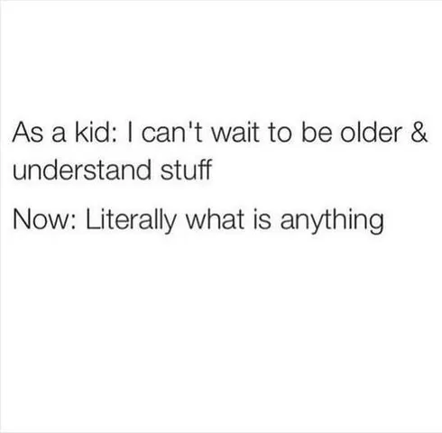 Being An Adult Memes Life Changes