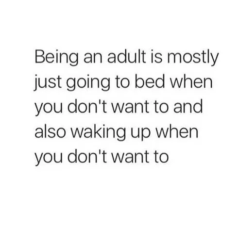 Being An Adult Memes Bed
