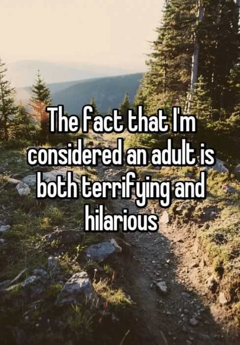 Being An Adult Memes Adulthood