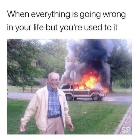 Being An Adult Memes Things Going Wrong