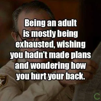 Being An Adult Memes Plans And Back Pain