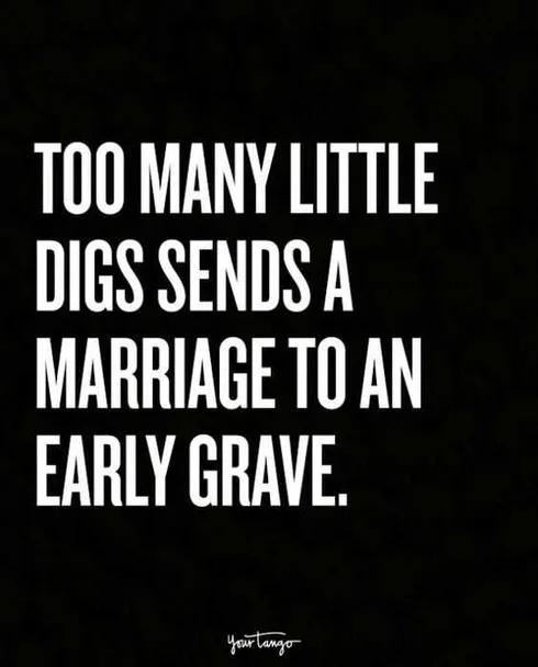 Hilarious Marriage Meme Little Digs