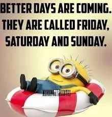 Minions Memes Funny Better Days