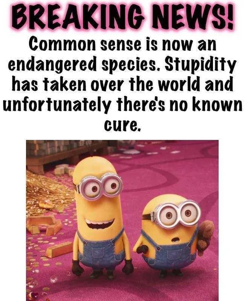 Minions Memes Funny Common Sense