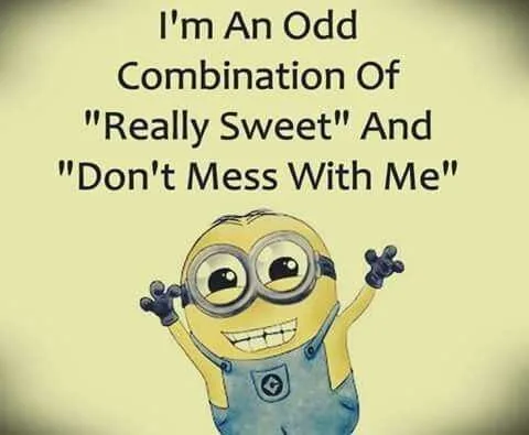 Minion Quotes And Memes Do Not Mess With Me