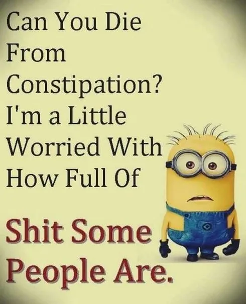 Minions Memes Funny Full Of It