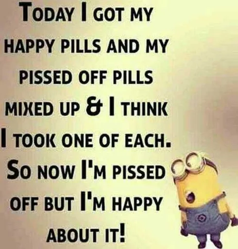 Minion Quotes And Memes Happy Piss
