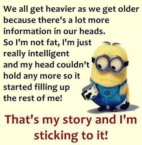Minions Memes Funny Heavy Information