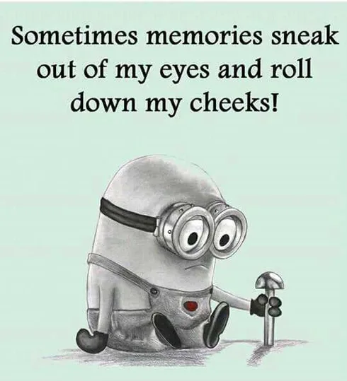 Minion Quotes And Memes Memories Sneak