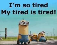 27 New Funny Minion Memes Clean Enough To Make You LOL At Work