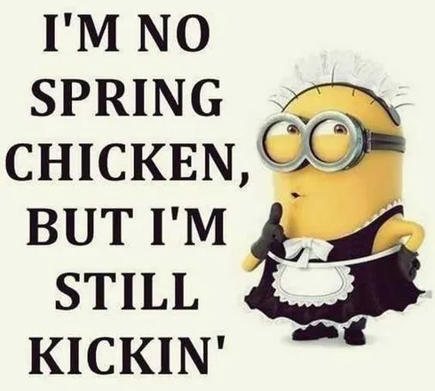 Minions Memes Funny Still Kicking