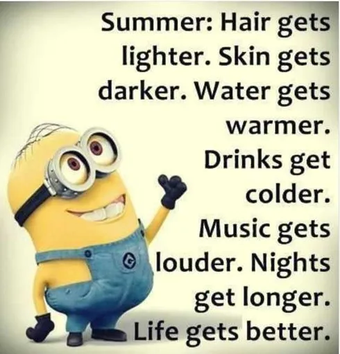 Minion Quotes And Memes Summer