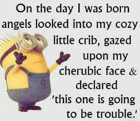 Minions Memes Funny Trouble