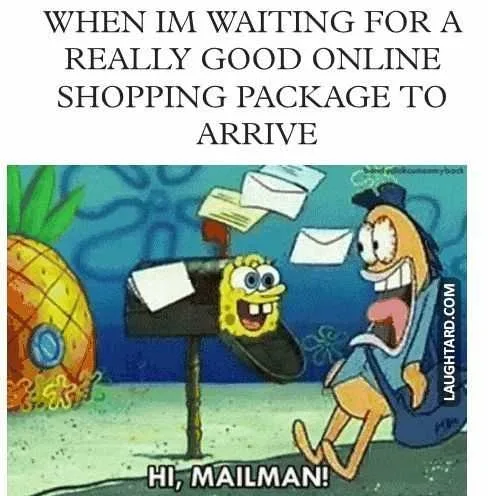 Funny Shopping Memes Online Shopping Arrival