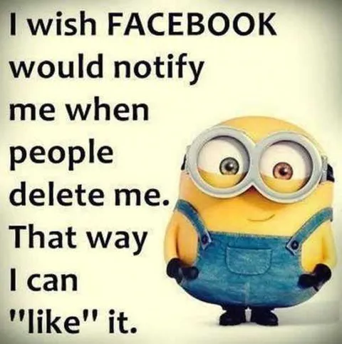 Hilarious Minion Quotes With Attitude Facebook Notifications