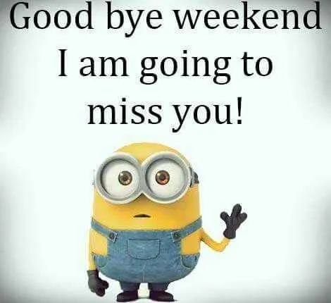 Hilarious Minions Quotes With Attitude Weekend